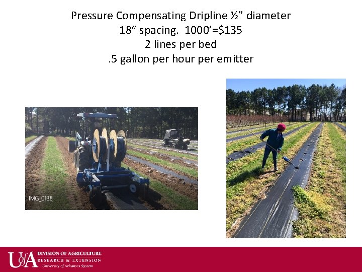 Pressure Compensating Dripline ½” diameter 18” spacing. 1000’=$135 2 lines per bed. 5 gallon