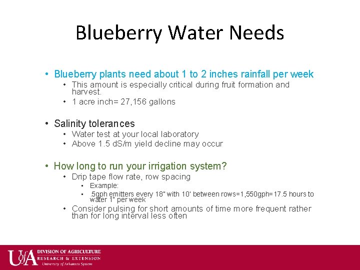 Blueberry Water Needs • Blueberry plants need about 1 to 2 inches rainfall per