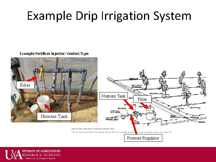 Example Drip Irrigation System Example Fertilizer Injector: Venturi Type Filter Nutrient Tank Pressure Regulator