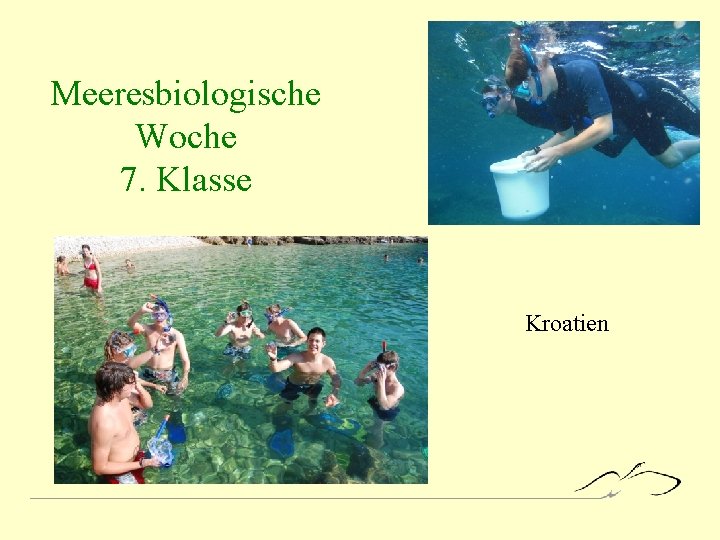Meeresbiologische Woche 7. Klasse Kroatien 