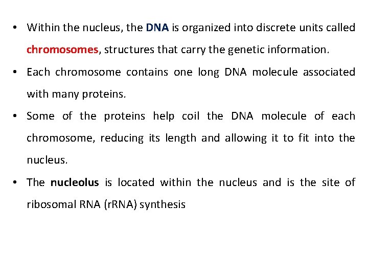  • Within the nucleus, the DNA is organized into discrete units called chromosomes,
