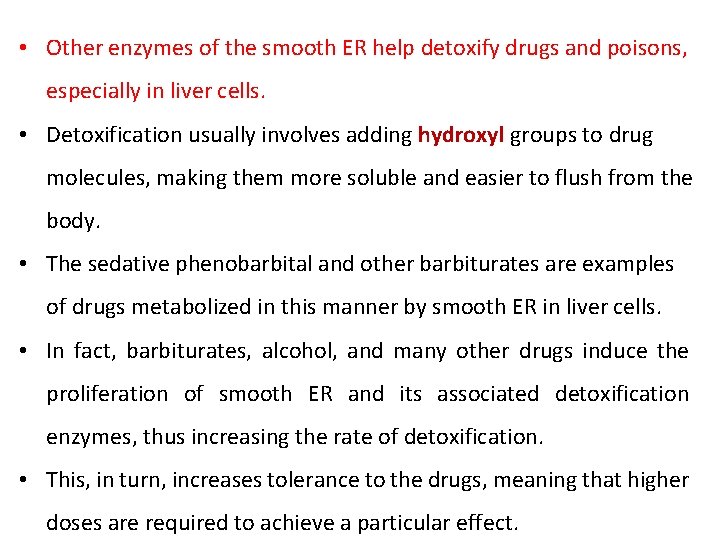  • Other enzymes of the smooth ER help detoxify drugs and poisons, especially