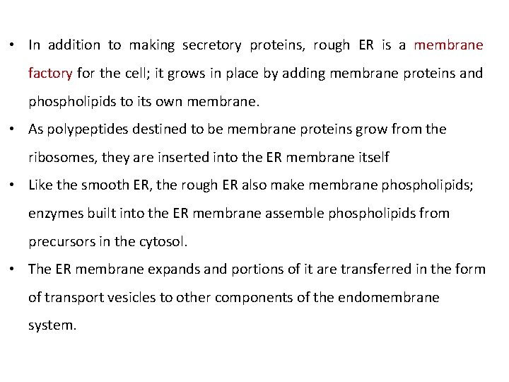  • In addition to making secretory proteins, rough ER is a membrane factory