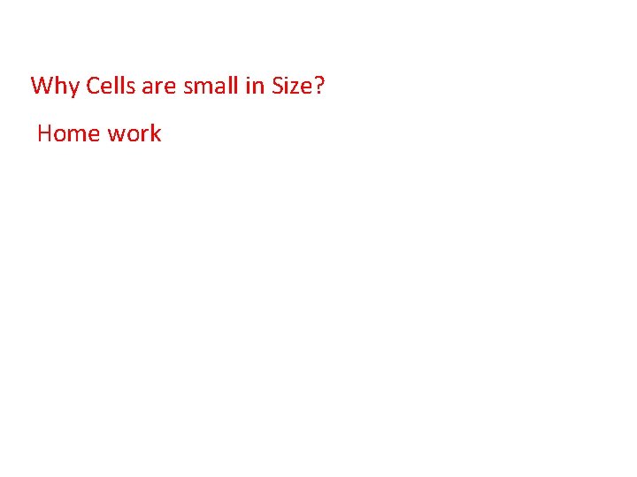 Why Cells are small in Size? Home work 