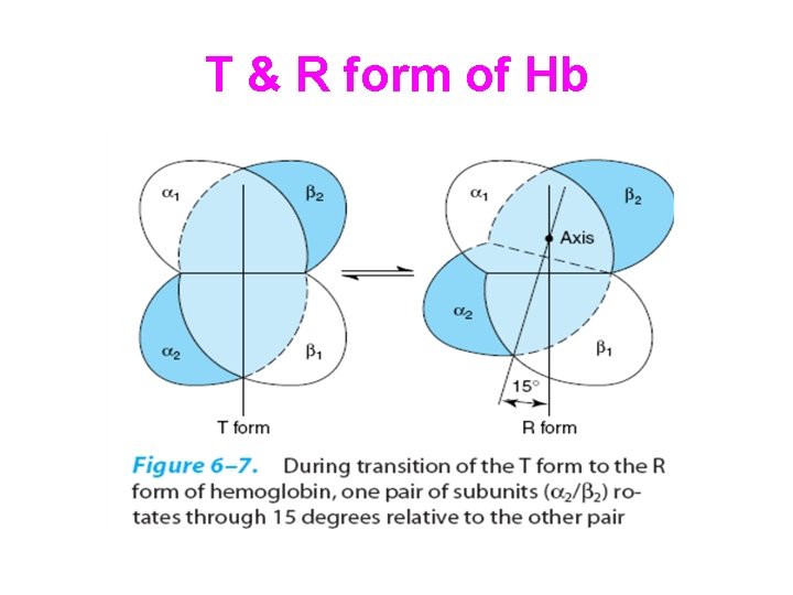 T & R form of Hb 