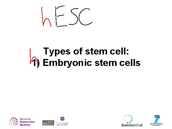 Types of stem cell: 1) Embryonic stem cells 