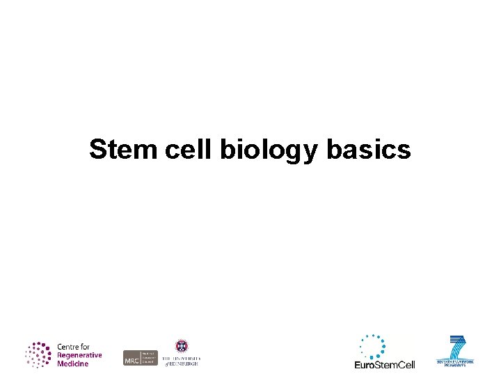 Stem cell biology basics 