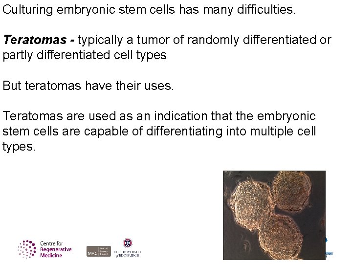 Culturing embryonic stem cells has many difficulties. Teratomas - typically a tumor of randomly