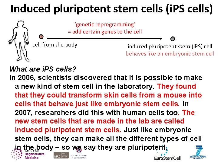 Induced pluripotent stem cells (i. PS cells) ‘genetic reprogramming’ = add certain genes to