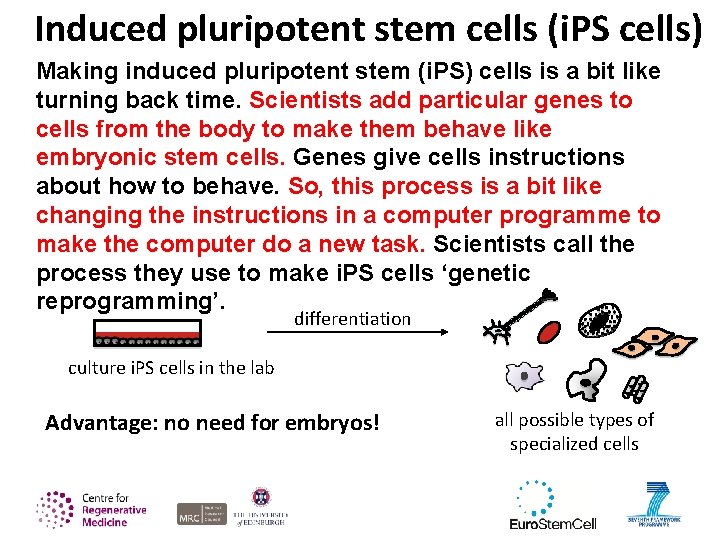 Induced pluripotent stem cells (i. PS cells) Making induced pluripotent stem (i. PS) cells