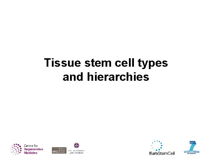 Tissue stem cell types and hierarchies 