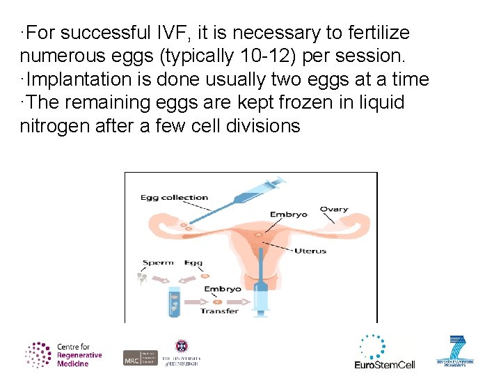 ·For successful IVF, it is necessary to fertilize numerous eggs (typically 10 -12) per
