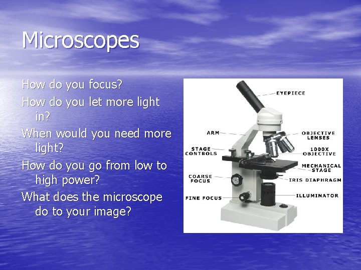 Microscopes How do you focus? How do you let more light in? When would