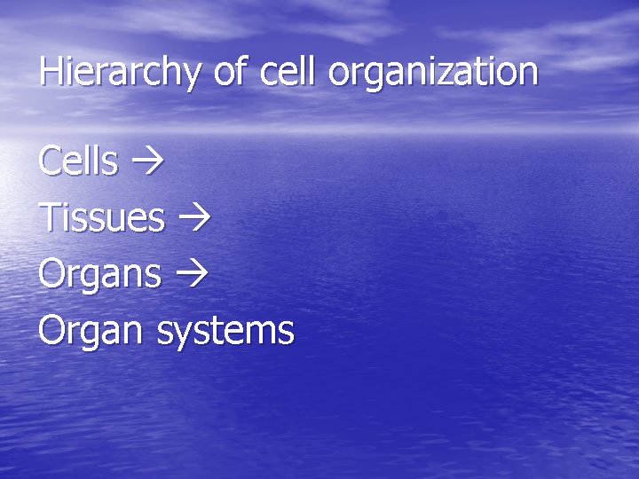 Hierarchy of cell organization Cells Tissues Organ systems 