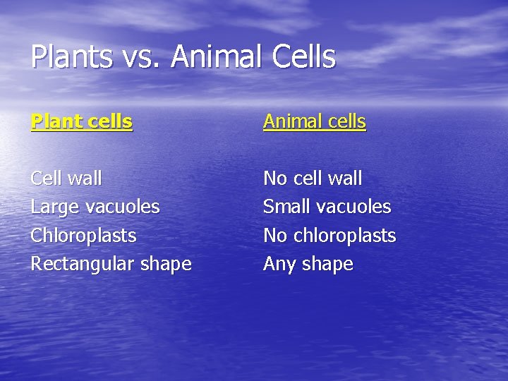 Plants vs. Animal Cells Plant cells Animal cells Cell wall Large vacuoles Chloroplasts Rectangular