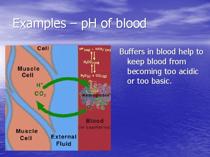 Examples – p. H of blood Buffers in blood help to keep blood from