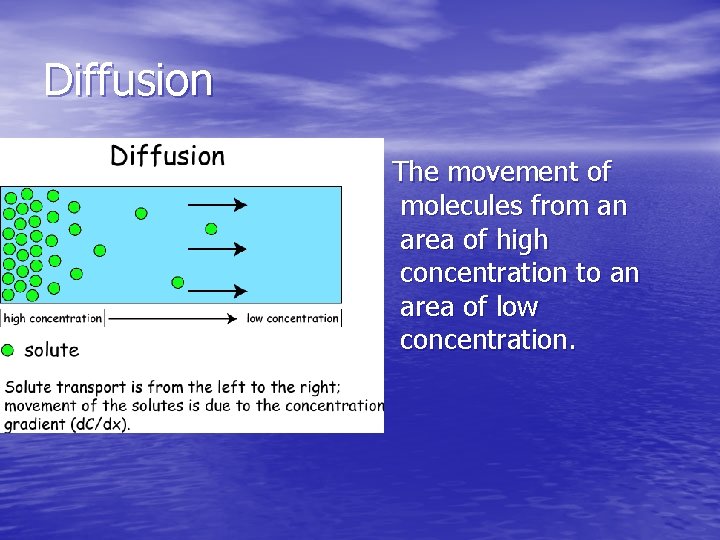 Diffusion - The movement of molecules from an area of high concentration to an