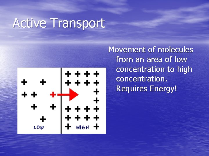 Active Transport Movement of molecules from an area of low concentration to high concentration.