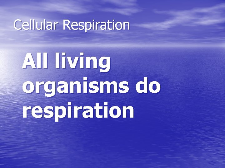 Cellular Respiration All living organisms do respiration 