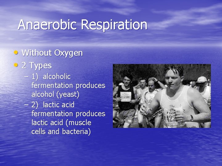 Anaerobic Respiration • Without Oxygen • 2 Types – 1) alcoholic fermentation produces alcohol