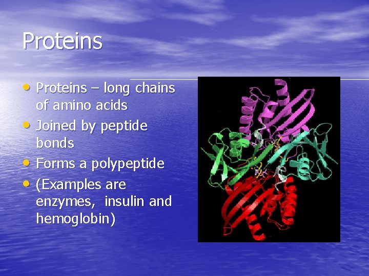 Proteins • Proteins – long chains • • • of amino acids Joined by