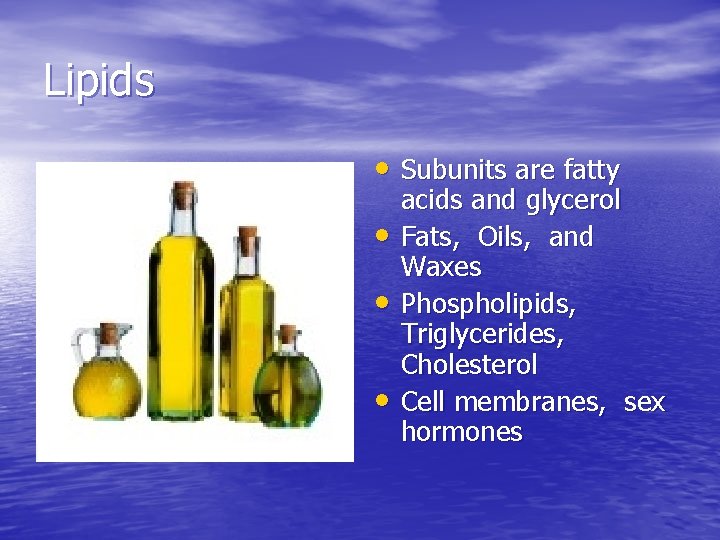 Lipids • Subunits are fatty • • • acids and glycerol Fats, Oils, and