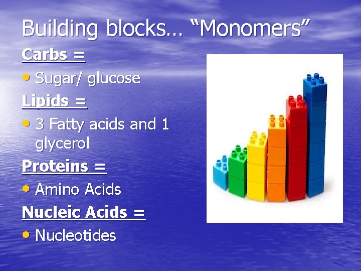Building blocks… “Monomers” Carbs = • Sugar/ glucose Lipids = • 3 Fatty acids