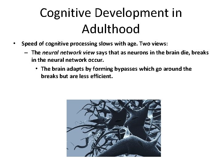 Cognitive Development in Adulthood • Speed of cognitive processing slows with age. Two views: