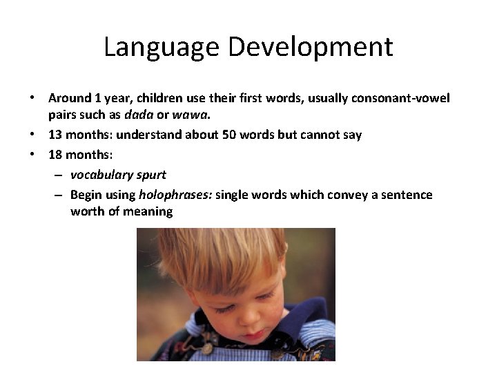 Cognitive Development Basic Principles of Piagets Theory of