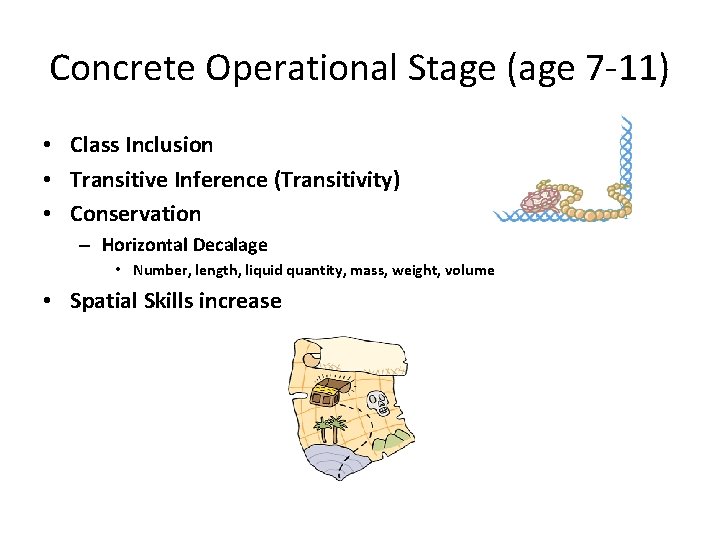 Concrete Operational Stage (age 7 -11) • Class Inclusion • Transitive Inference (Transitivity) •