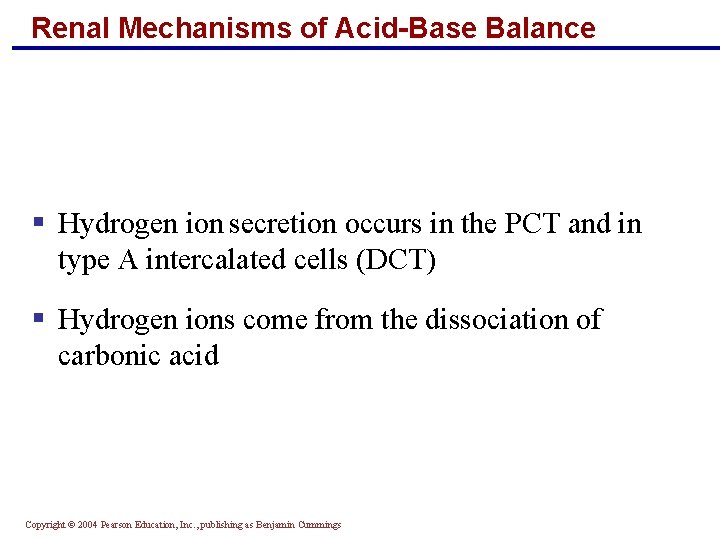 Renal Mechanisms of Acid-Base Balance § Hydrogen ion secretion occurs in the PCT and