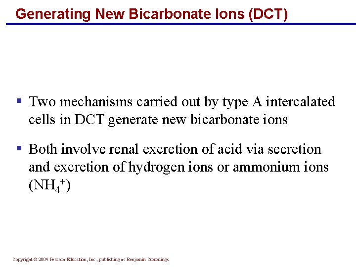 Generating New Bicarbonate Ions (DCT) § Two mechanisms carried out by type A intercalated