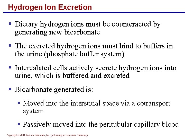 Hydrogen Ion Excretion § Dietary hydrogen ions must be counteracted by generating new bicarbonate