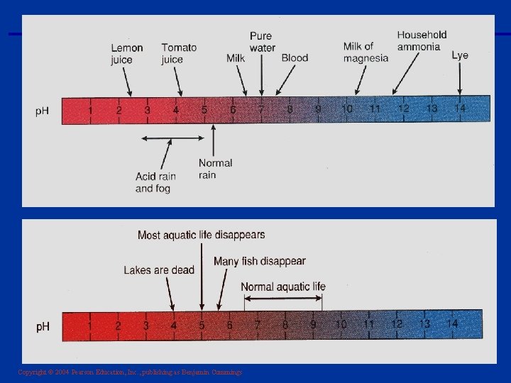 Copyright © 2004 Pearson Education, Inc. , publishing as Benjamin Cummings 