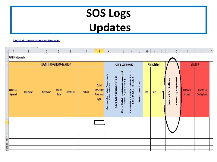 SOS Logs Updates 110 -2 FYAP counselor Summary of Services. xlsx 