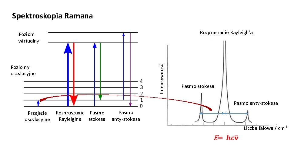 Spektroskopia Ramana R Rozpraszanie Rayleigh’a Poziom wirtualny -769 Rozpraszanie Pasmo Przejście Rayleigh’a stokesa oscylacyjne