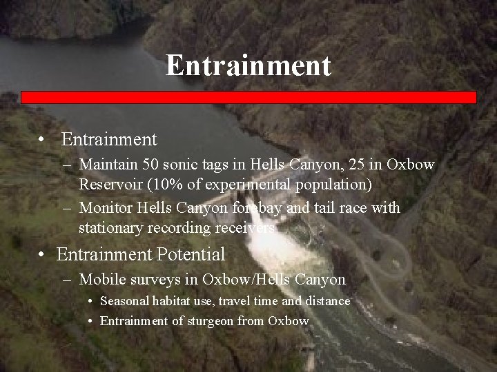 Entrainment • Entrainment – Maintain 50 sonic tags in Hells Canyon, 25 in Oxbow