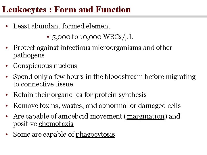 Leukocytes : Form and Function • Least abundant formed element • 5, 000 to