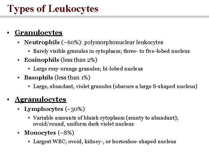 Types of Leukocytes • Granulocytes • Neutrophils (~60%): polymorphonuclear leukocytes • Barely visible granules