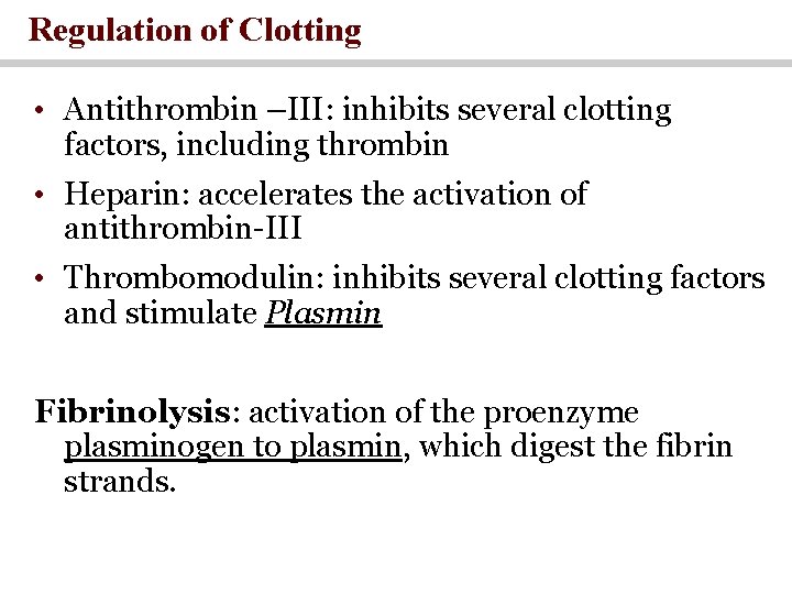 Regulation of Clotting • Antithrombin –III: inhibits several clotting factors, including thrombin • Heparin: