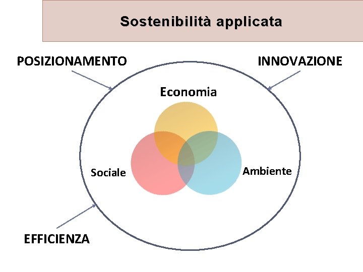 Sostenibilità applicata POSIZIONAMENTO INNOVAZIONE Economia Sociale EFFICIENZA Ambiente 