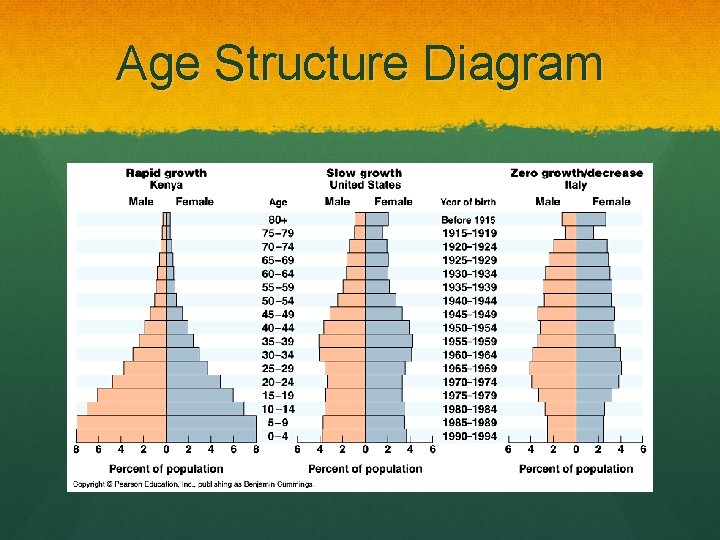Age Structure Diagram 