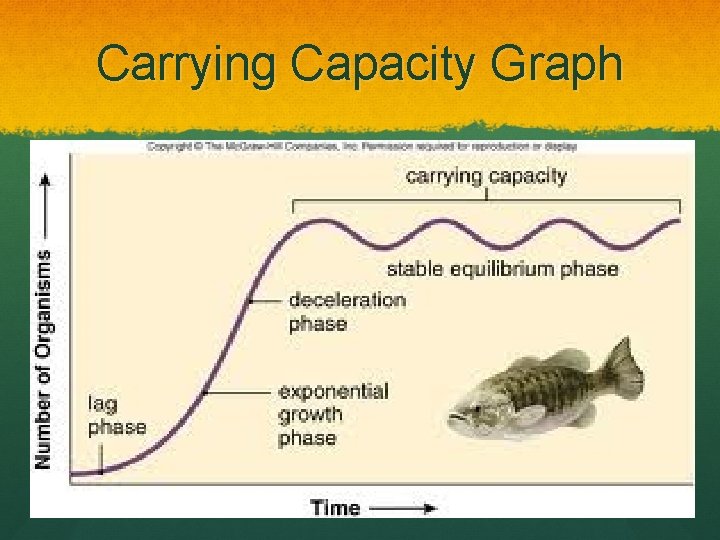 Carrying Capacity Graph 