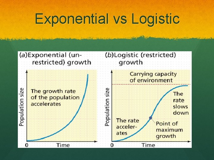 Exponential vs Logistic 