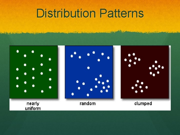 Distribution Patterns 