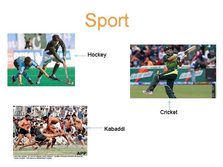 Sport Hockey Cricket Kabaddi 