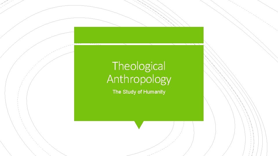 Theological Anthropology The Study of Humanity 