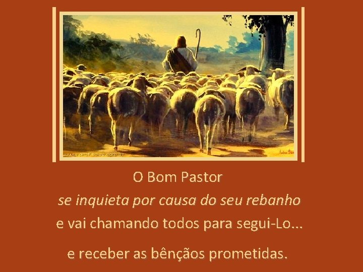 O Bom Pastor se inquieta por causa do seu rebanho e vai chamando todos