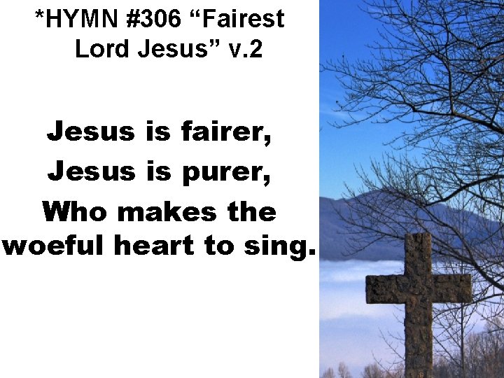 *HYMN #306 “Fairest Lord Jesus” v. 2 Jesus is fairer, Jesus is purer, Who