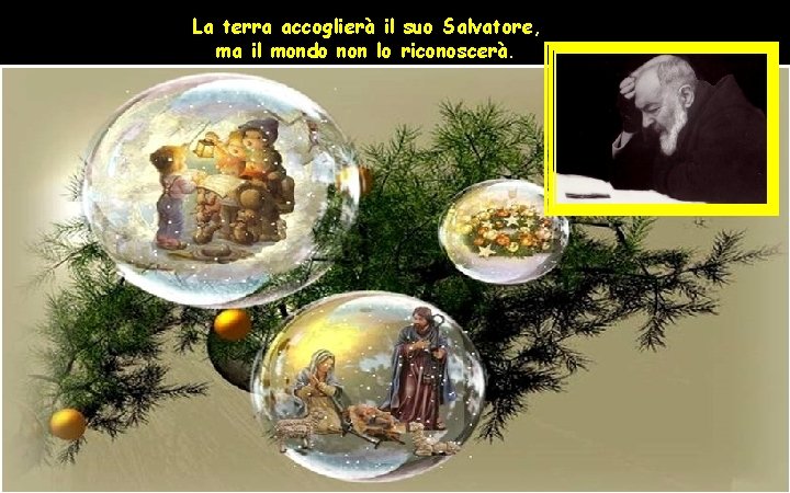 La terra accoglierà il suo Salvatore, ma il mondo non lo riconoscerà. 